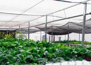 Shade net for Garden in UAE