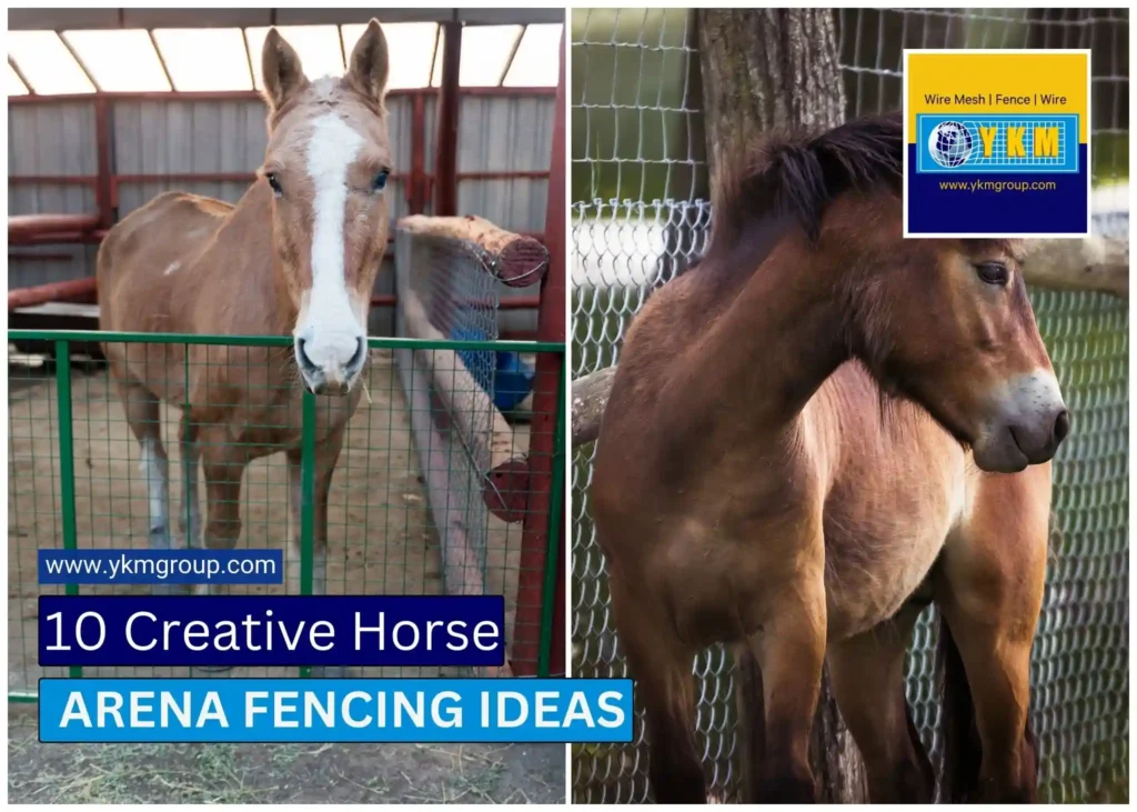 Creative Horse Arena Fencing Ideas