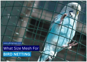 What Size Mesh For Bird Netting