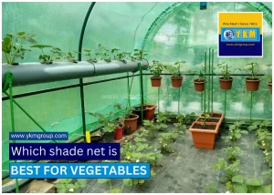 Which shade net is best for vegetables