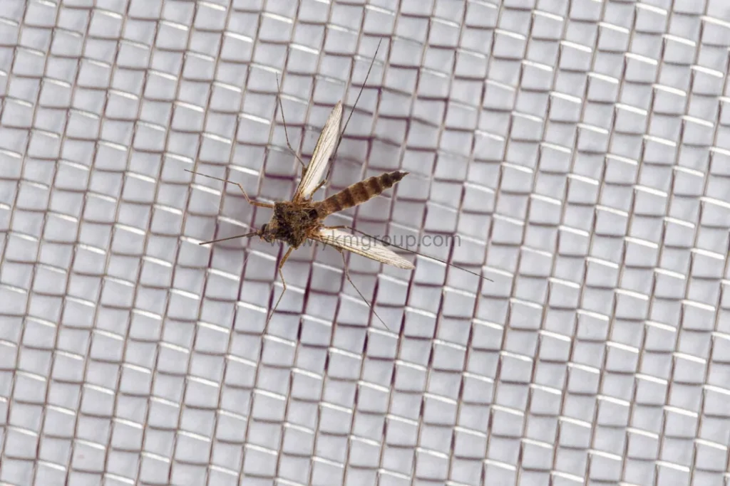 How to Replace Fly Screen Mesh on Windows & Doors Simplified